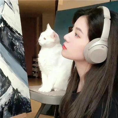 检事和女先生 封面