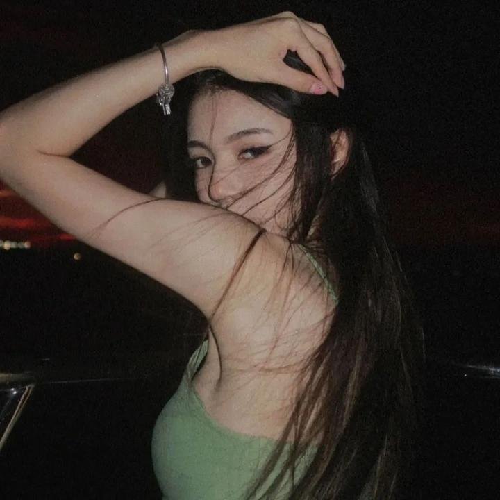 维也纳的姑娘们 封面